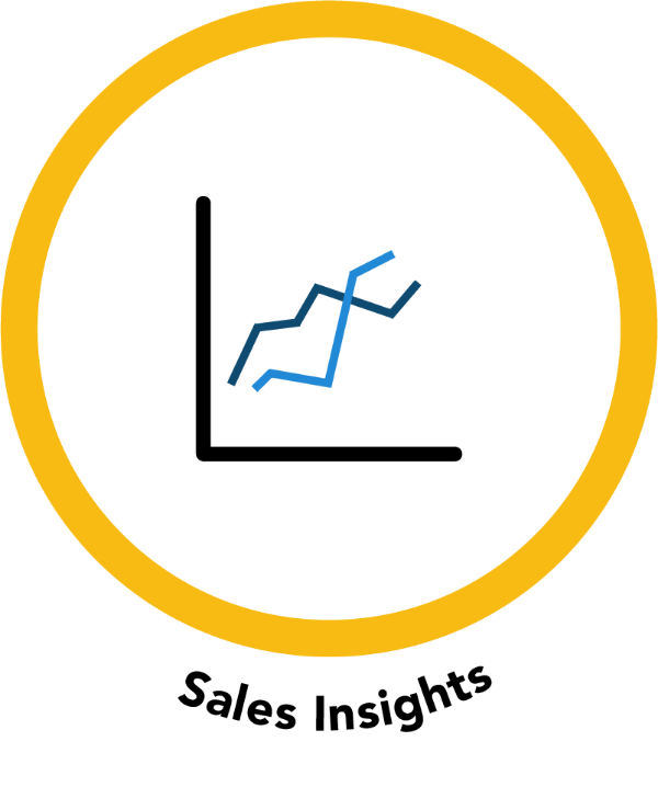 Sales Insights